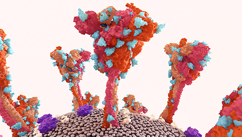 Advancements in Protein Ubiquitination Research